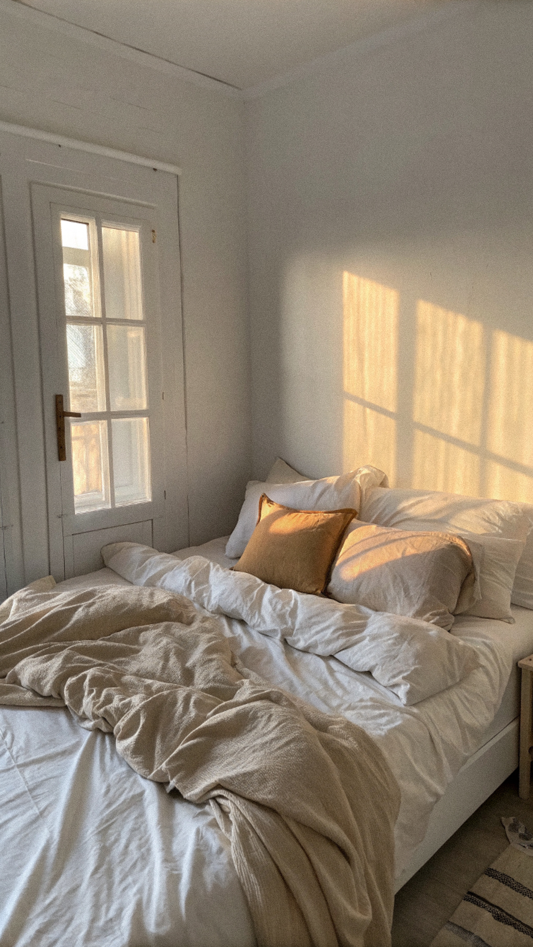 Biohacking Starter Kit: Your Guide to Sleep Optimization