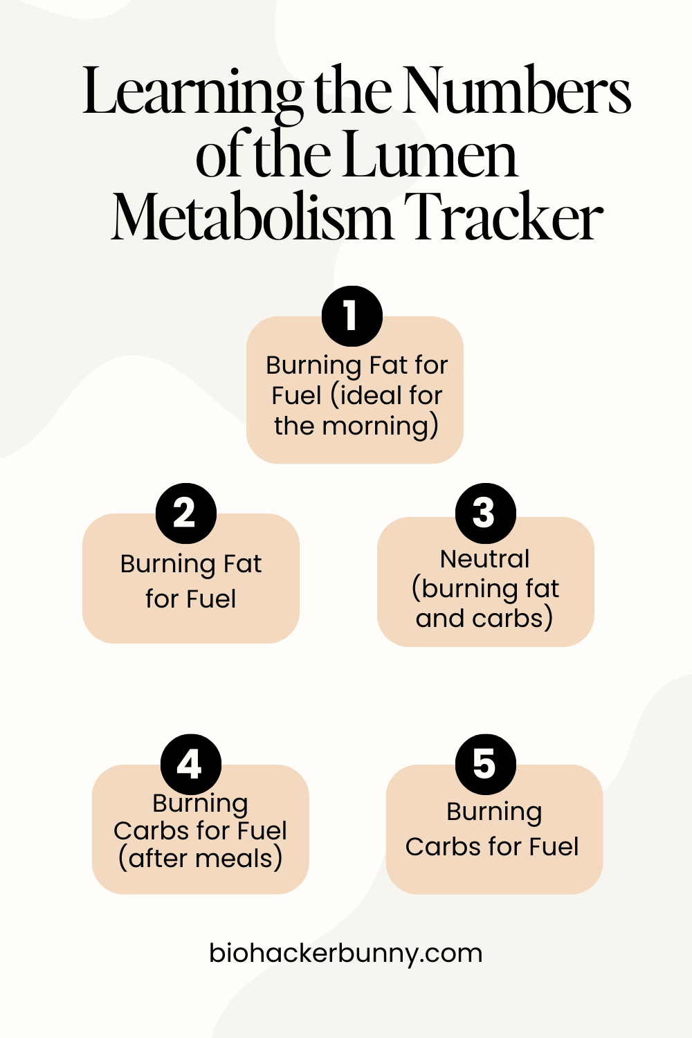 lumen metabolism tracker review number chart